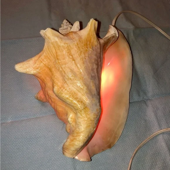 Seashell Night Light - Picture 2 of 2